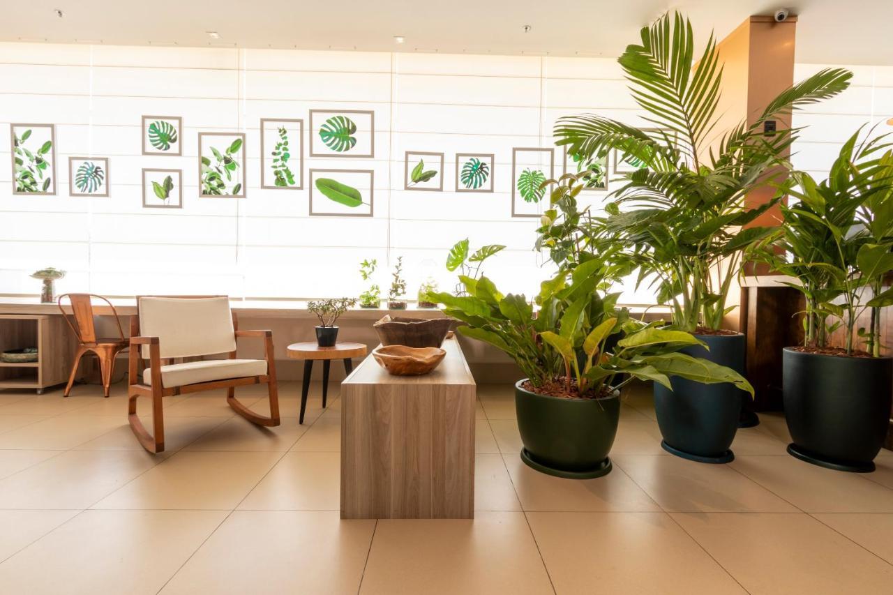 Ibis Styles Curitiba Aeroporto Hotel São José dos Pinhais Buitenkant foto