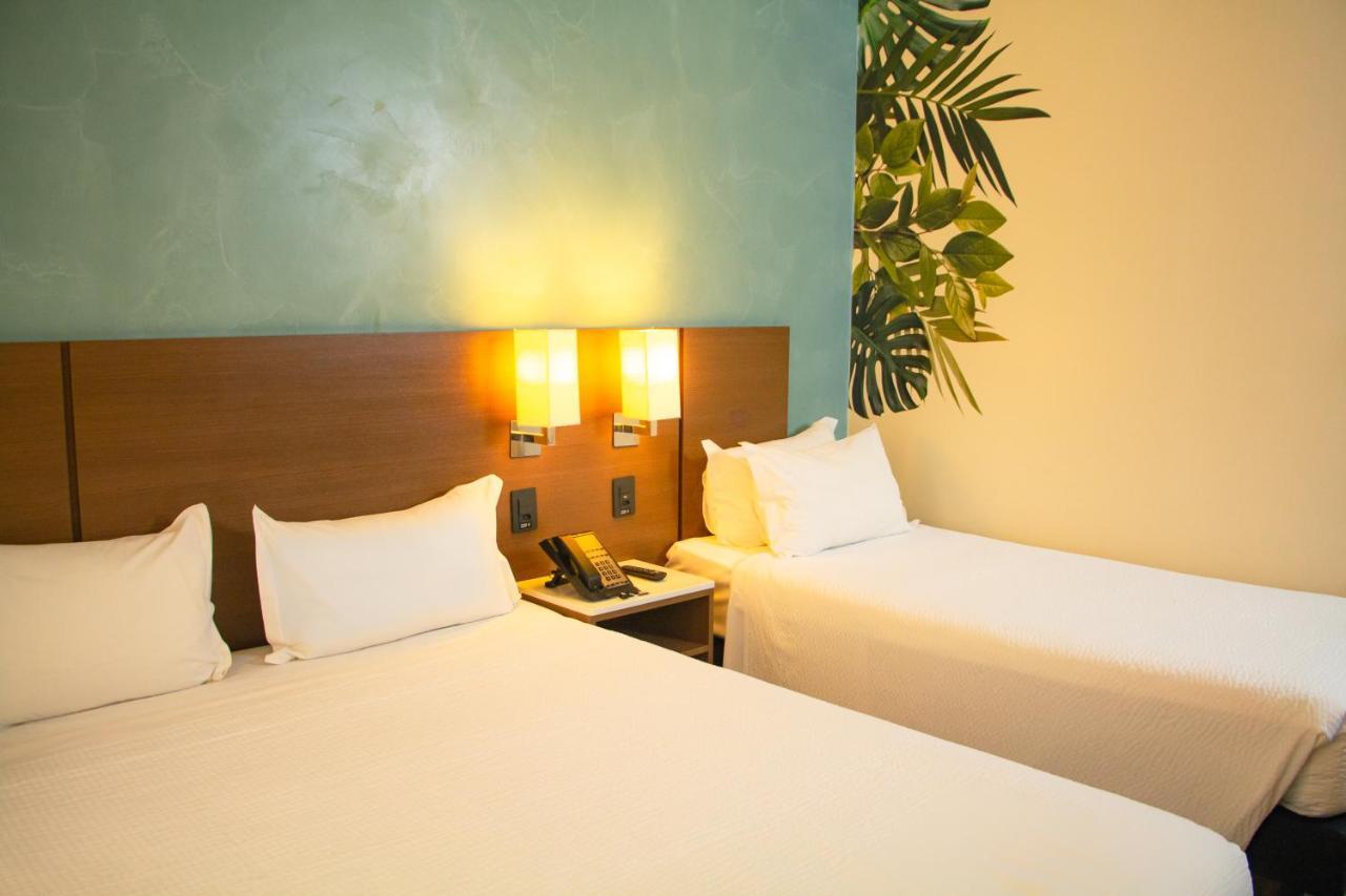 Ibis Styles Curitiba Aeroporto Hotel São José dos Pinhais Buitenkant foto