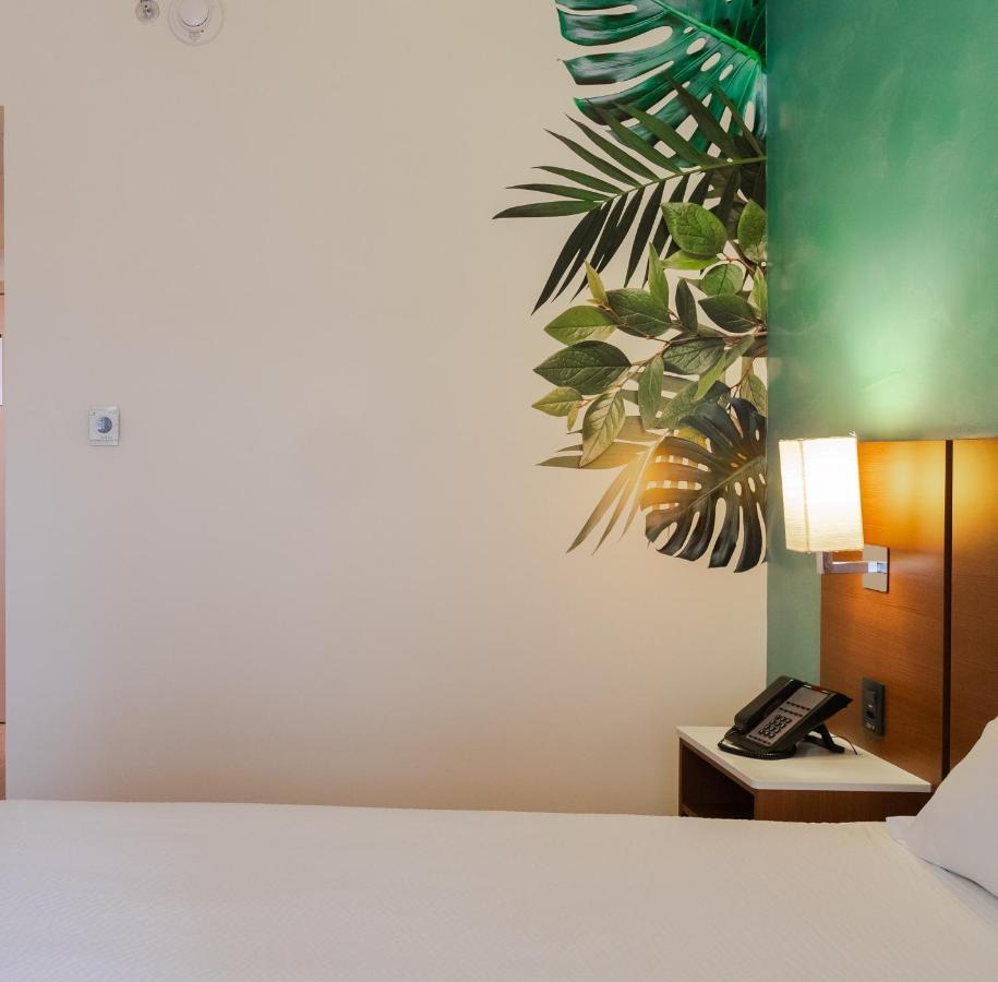 Ibis Styles Curitiba Aeroporto Hotel São José dos Pinhais Buitenkant foto